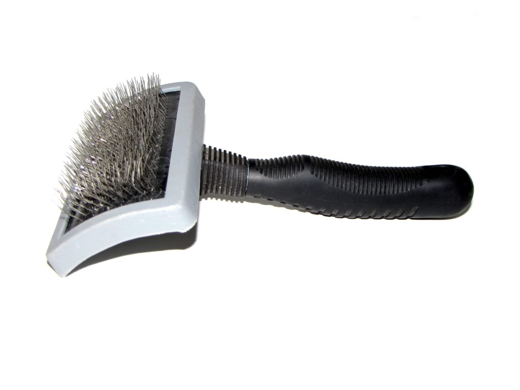 Image of a dog grooming brush
